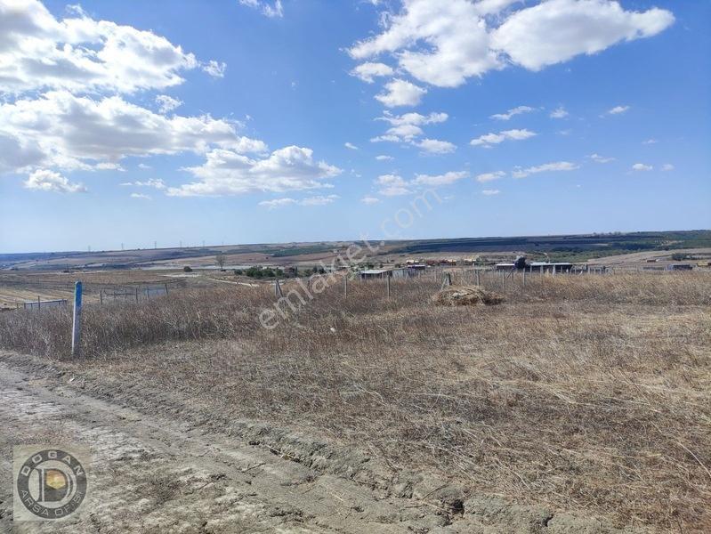 Silivri Balabanda Satılık İmarlı İfrazlı 260 Metre Kelepir Arsa — fotoğraf 11