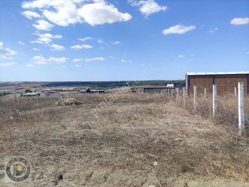 Silivri Balabanda Satılık İmarlı İfrazlı 260 Metre Kelepir Arsa — fotoğraf 12