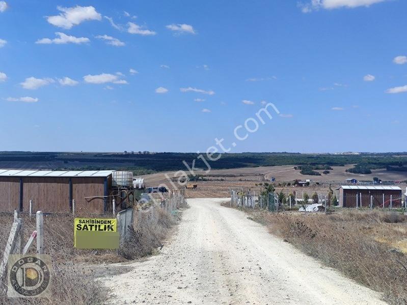 Silivri Balabanda Satılık İmarlı İfrazlı 260 Metre Kelepir Arsa — fotoğraf 20