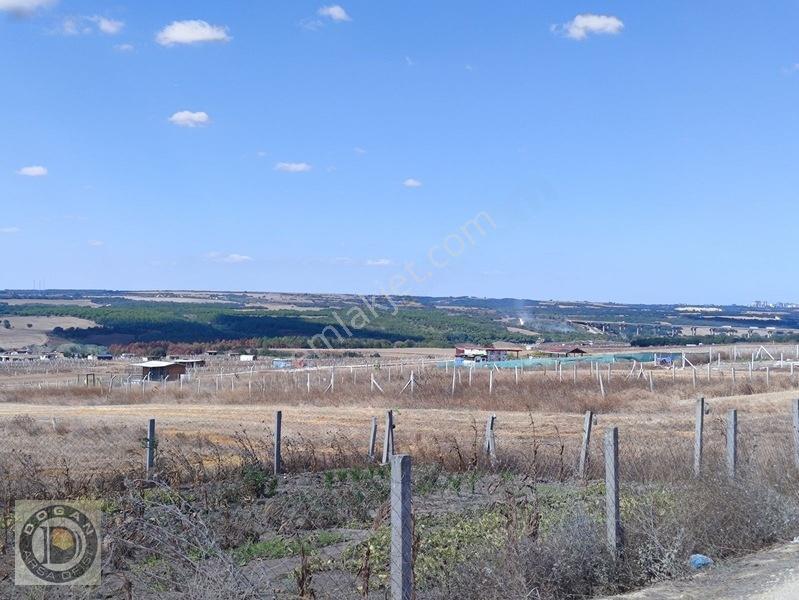 Silivri Balabanda Satılık İmarlı İfrazlı 260 Metre Kelepir Arsa — fotoğraf 23