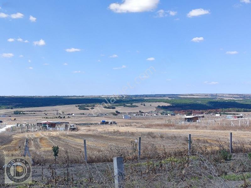 Silivri Balabanda Satılık İmarlı İfrazlı 260 Metre Kelepir Arsa — fotoğraf 24
