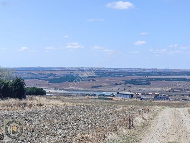 Silivri Balabanda Satılık İmarlı İfrazlı 260 Metre Kelepir Arsa — fotoğraf 29