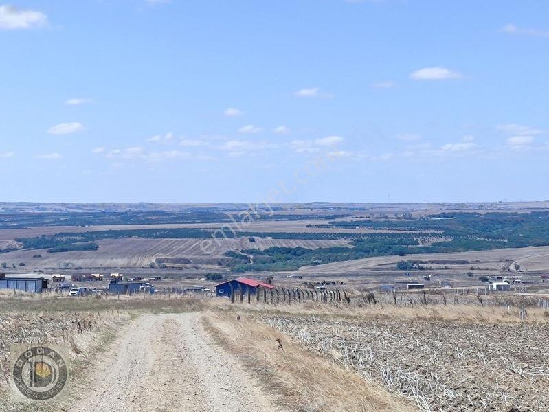 Silivri Balabanda Satılık İmarlı İfrazlı 260 Metre Kelepir Arsa — fotoğraf 30
