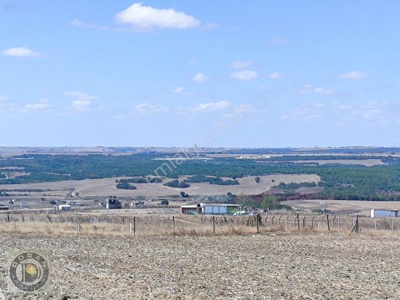 Silivri Balabanda Satılık İmarlı İfrazlı 260 Metre Kelepir Arsa — fotoğraf 32