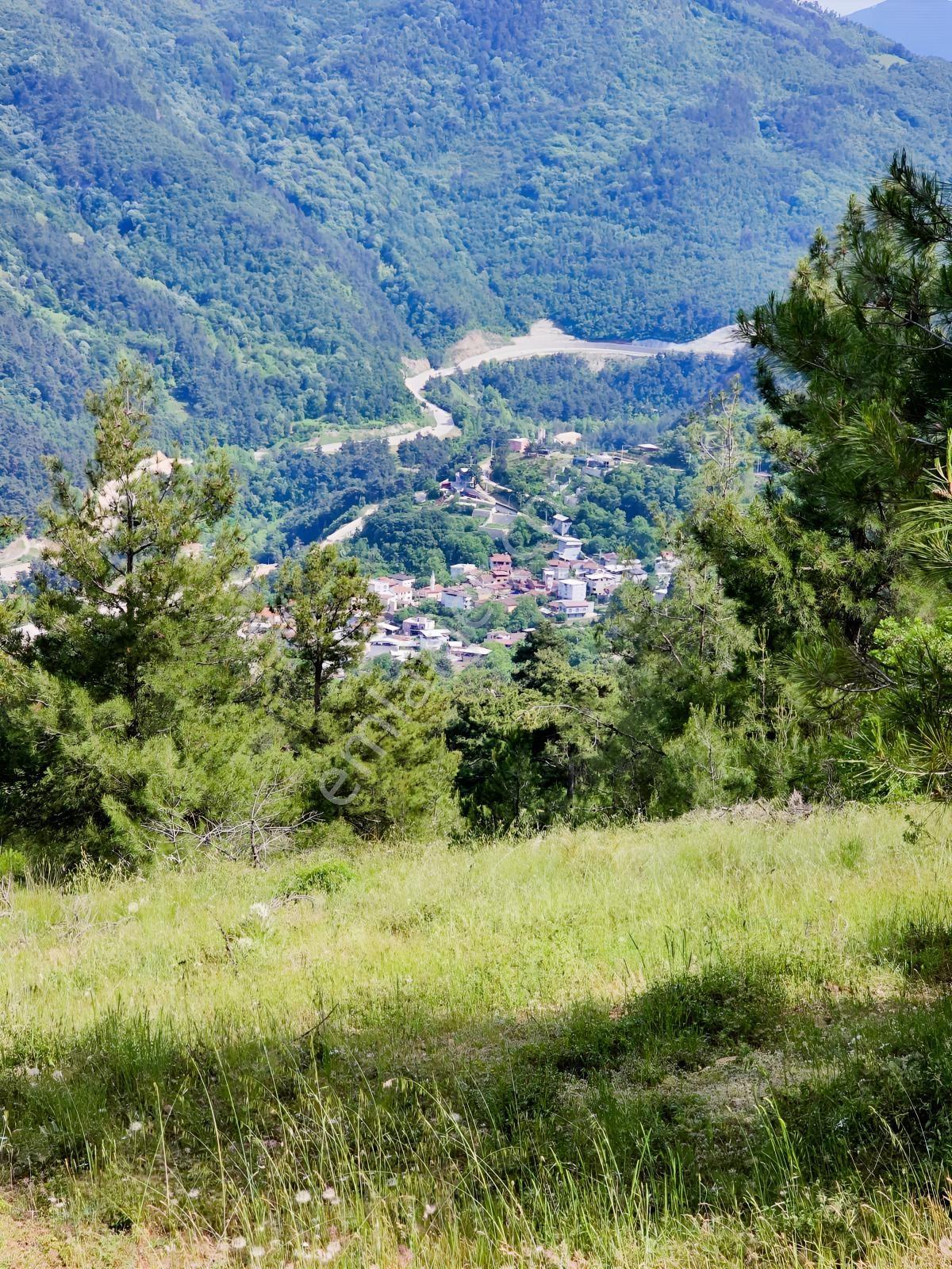 Dağyenice De Eşşiz Manzarası İle Fırsat Arazi