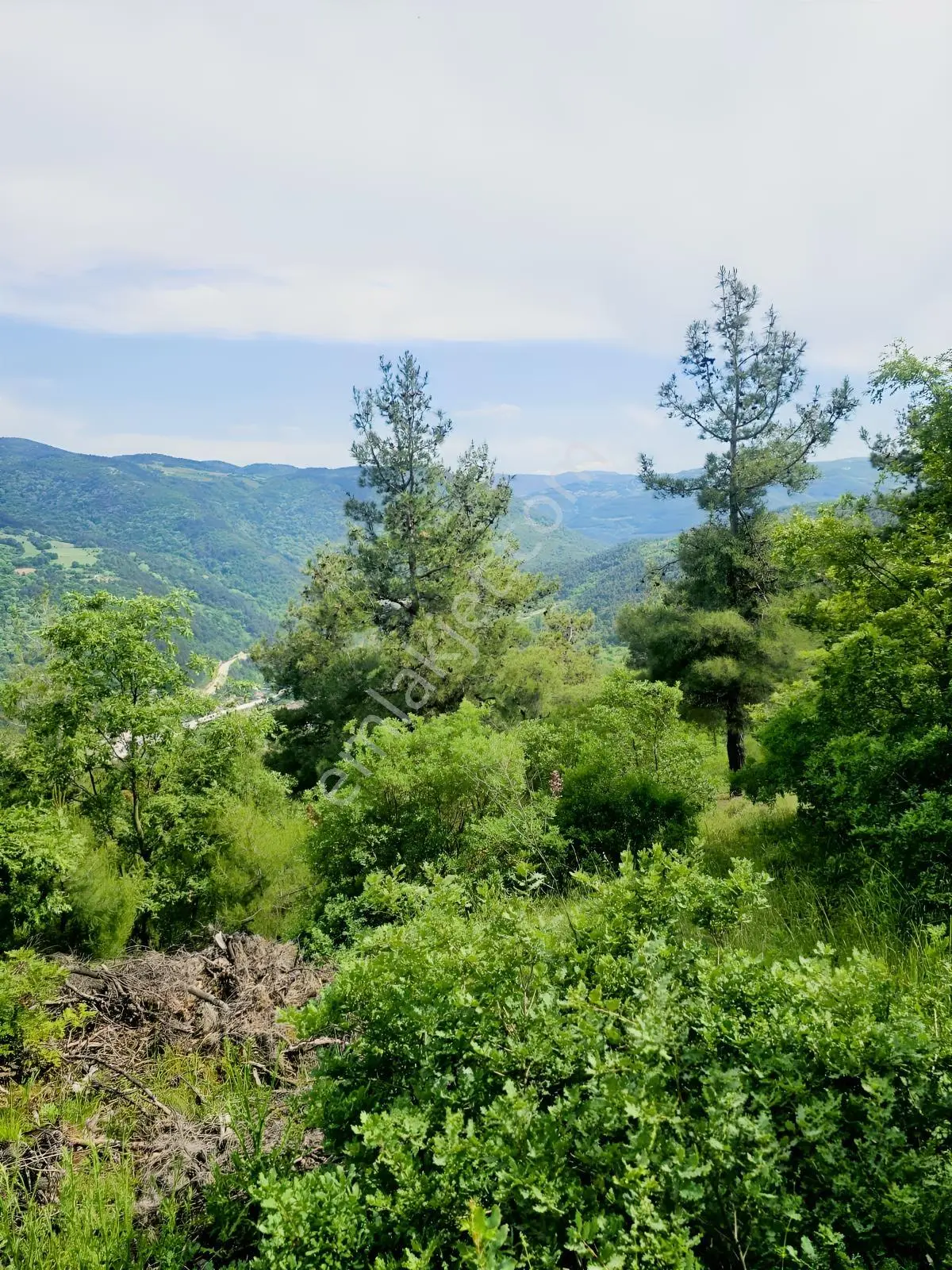 Dağyenice De Eşşiz Manzarası İle Fırsat Arazi — fotoğraf 2