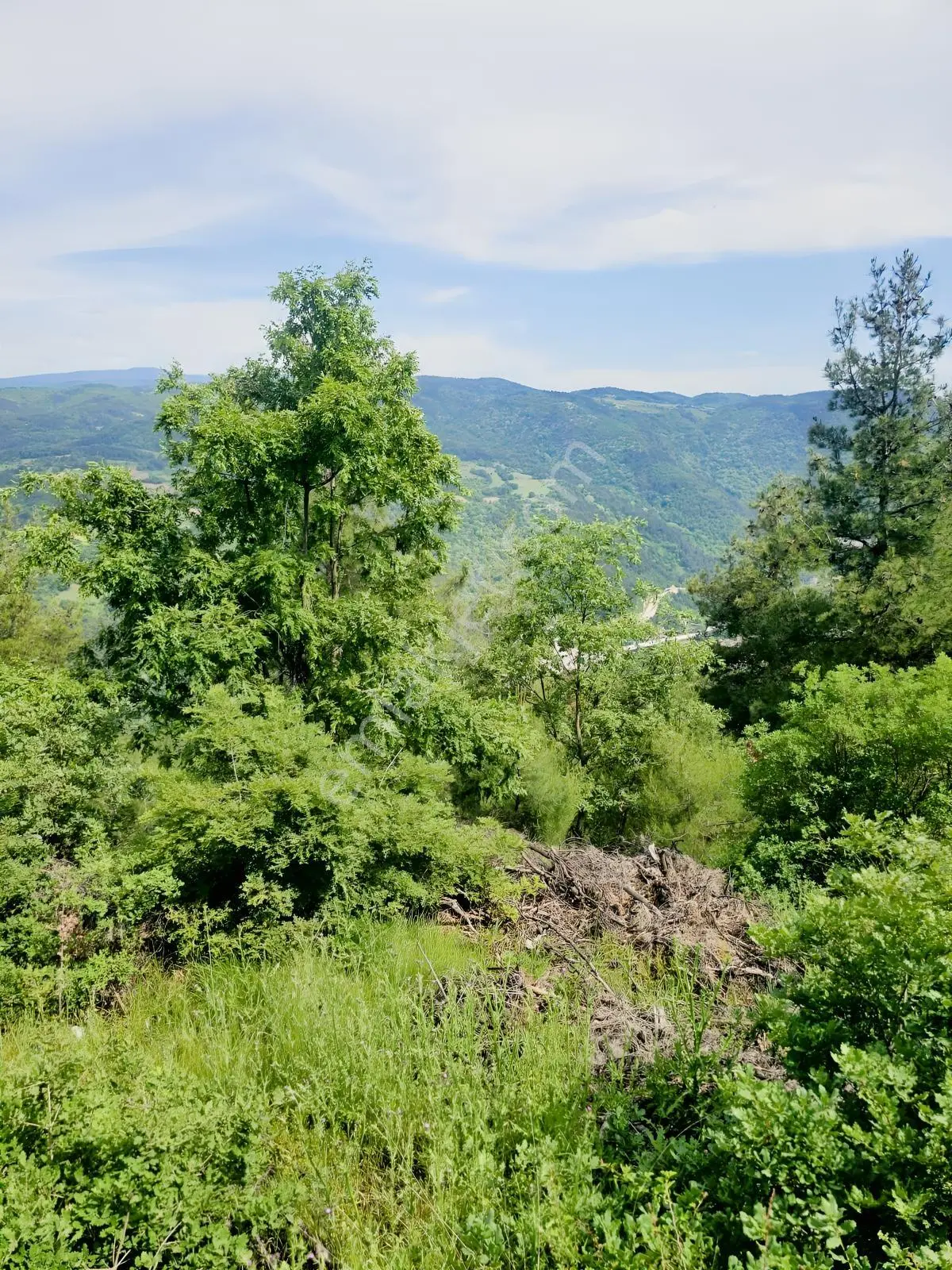Dağyenice De Eşşiz Manzarası İle Fırsat Arazi — fotoğraf 3