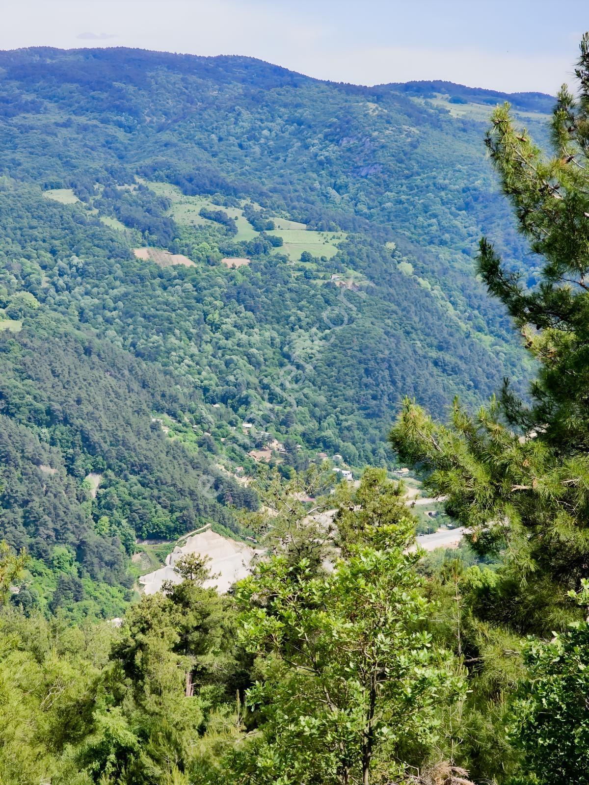 Dağyenice De Eşşiz Manzarası İle Fırsat Arazi — fotoğraf 6