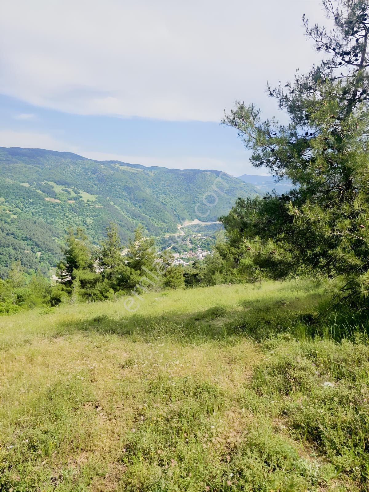 Dağyenice De Eşşiz Manzarası İle Fırsat Arazi — fotoğraf 9