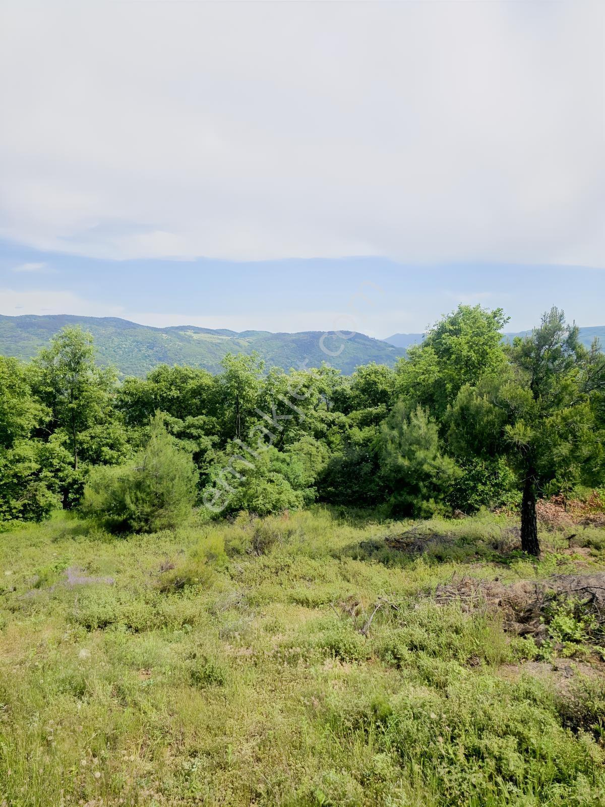 Dağyenice De Eşşiz Manzarası İle Fırsat Arazi — fotoğraf 15