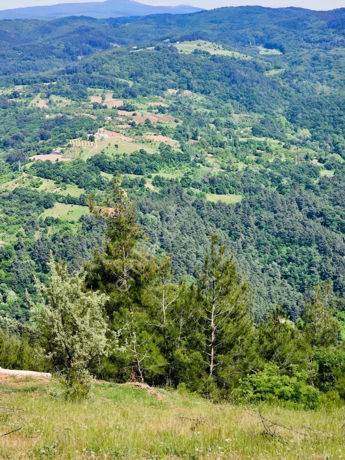 Dağyenice De Eşşiz Manzarası İle Fırsat Arazi — fotoğraf 17