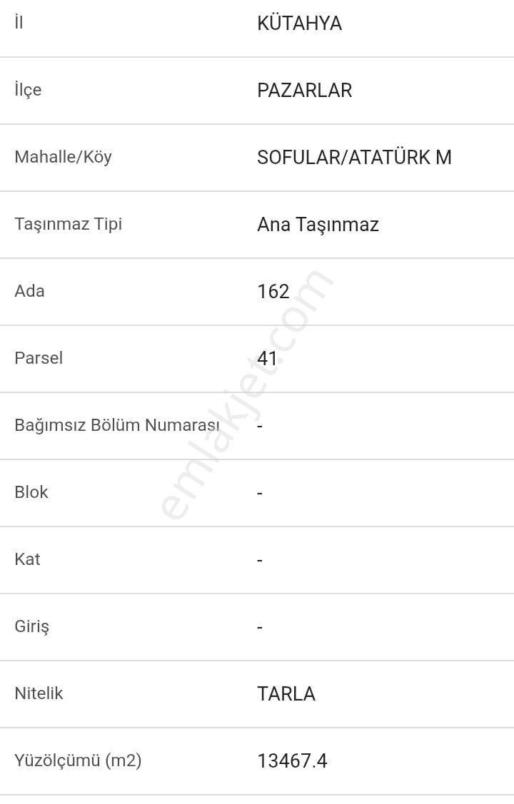 Kütahya Pazarlar Sofular Köyü Acil Satılık Tarla — fotoğraf 2