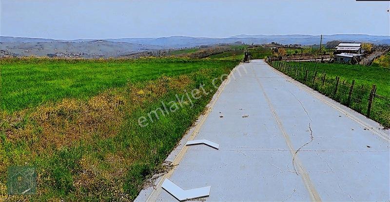 İzmit Kaynarcada Yol Kenarı Satılık Arsa Elektrık Su Cok Yakın — fotoğraf 2