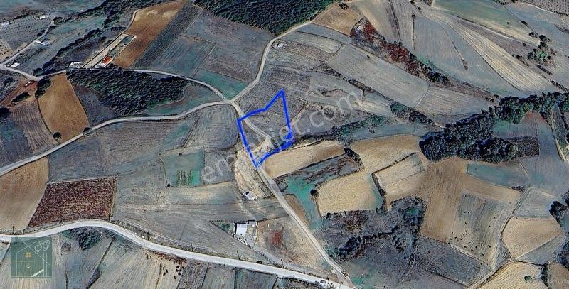 İzmit Kaynarcada Yol Kenarı Satılık Arsa Elektrık Su Cok Yakın — fotoğraf 14