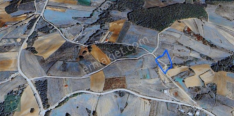 İzmit Kaynarcada Yol Kenarı Satılık Arsa Elektrık Su Cok Yakın — fotoğraf 16