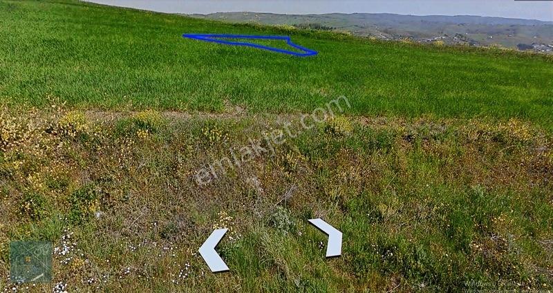 İzmit Kaynarcada Yol Kenarı Satılık Arsa Elektrık Su Cok Yakın — fotoğraf 19