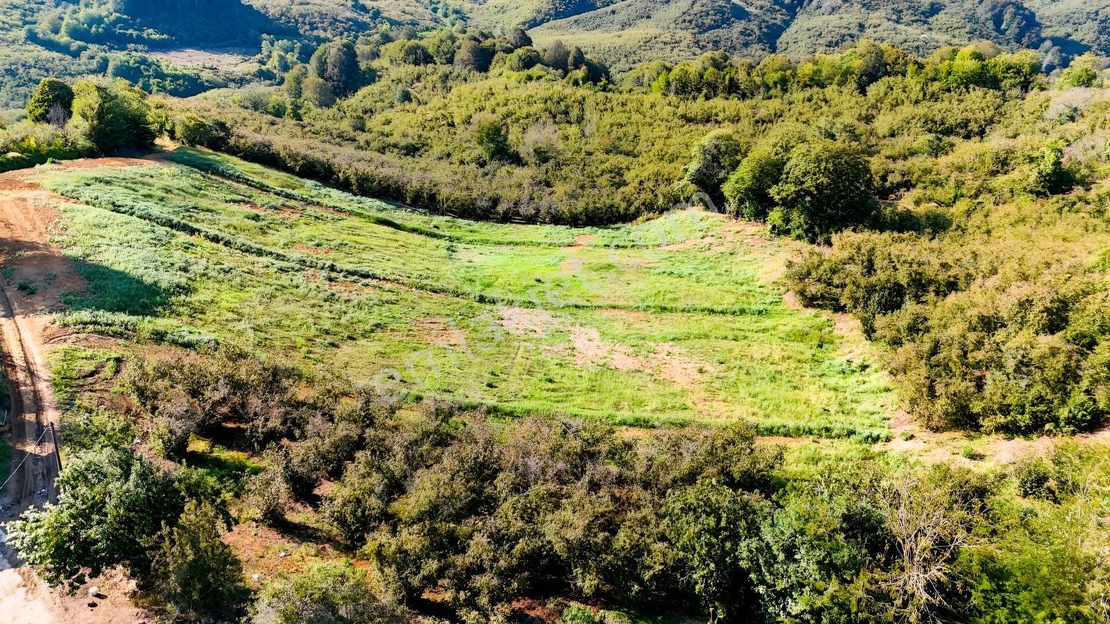 Balcıoğlundan Satılık Karapelit'te İmarlı Ruhsatlı 40 Adet Arsa — fotoğraf 4