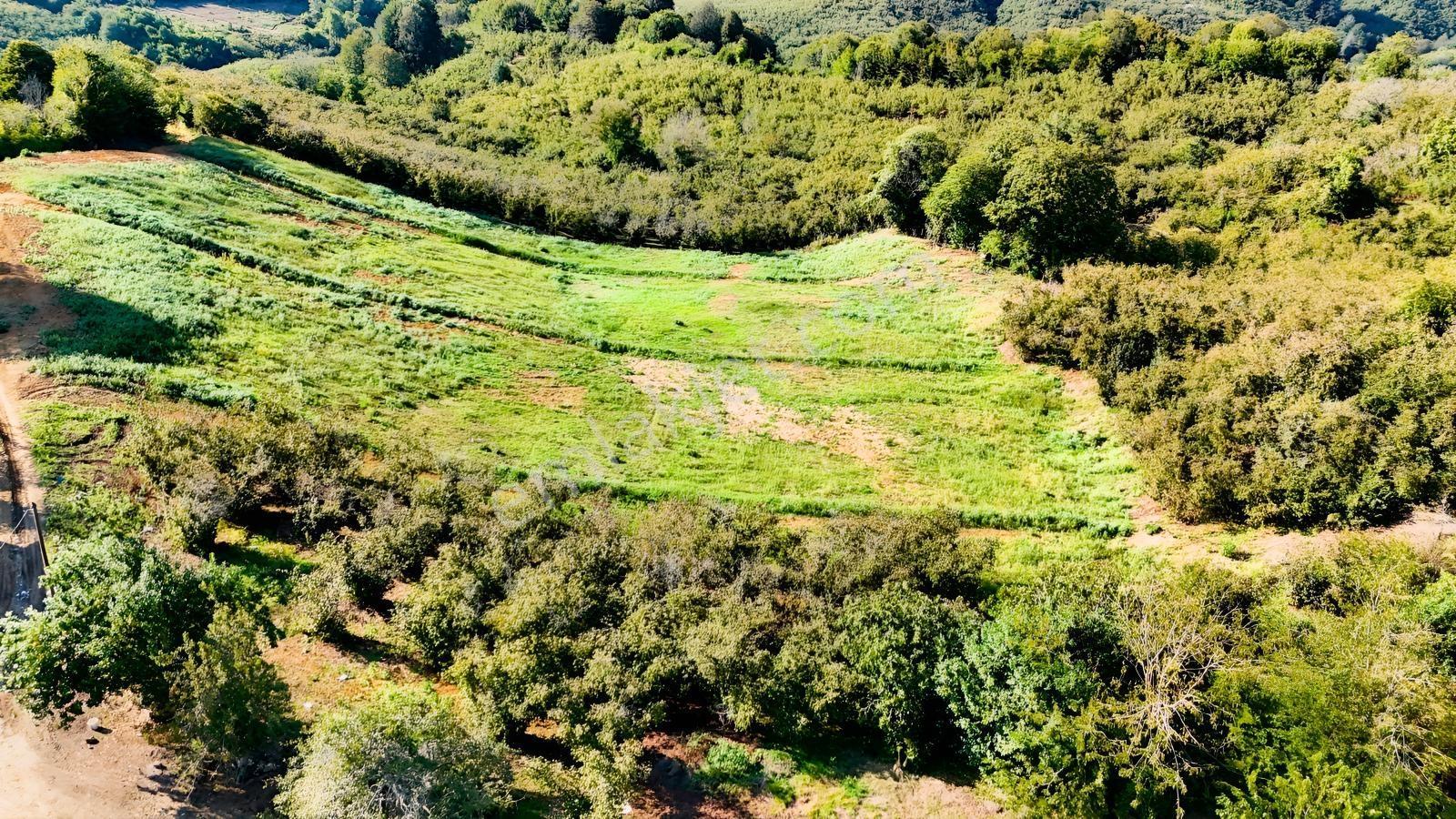Balcıoğlundan Satılık Karapelit'te İmarlı Ruhsatlı 40 Adet Arsa — fotoğraf 5