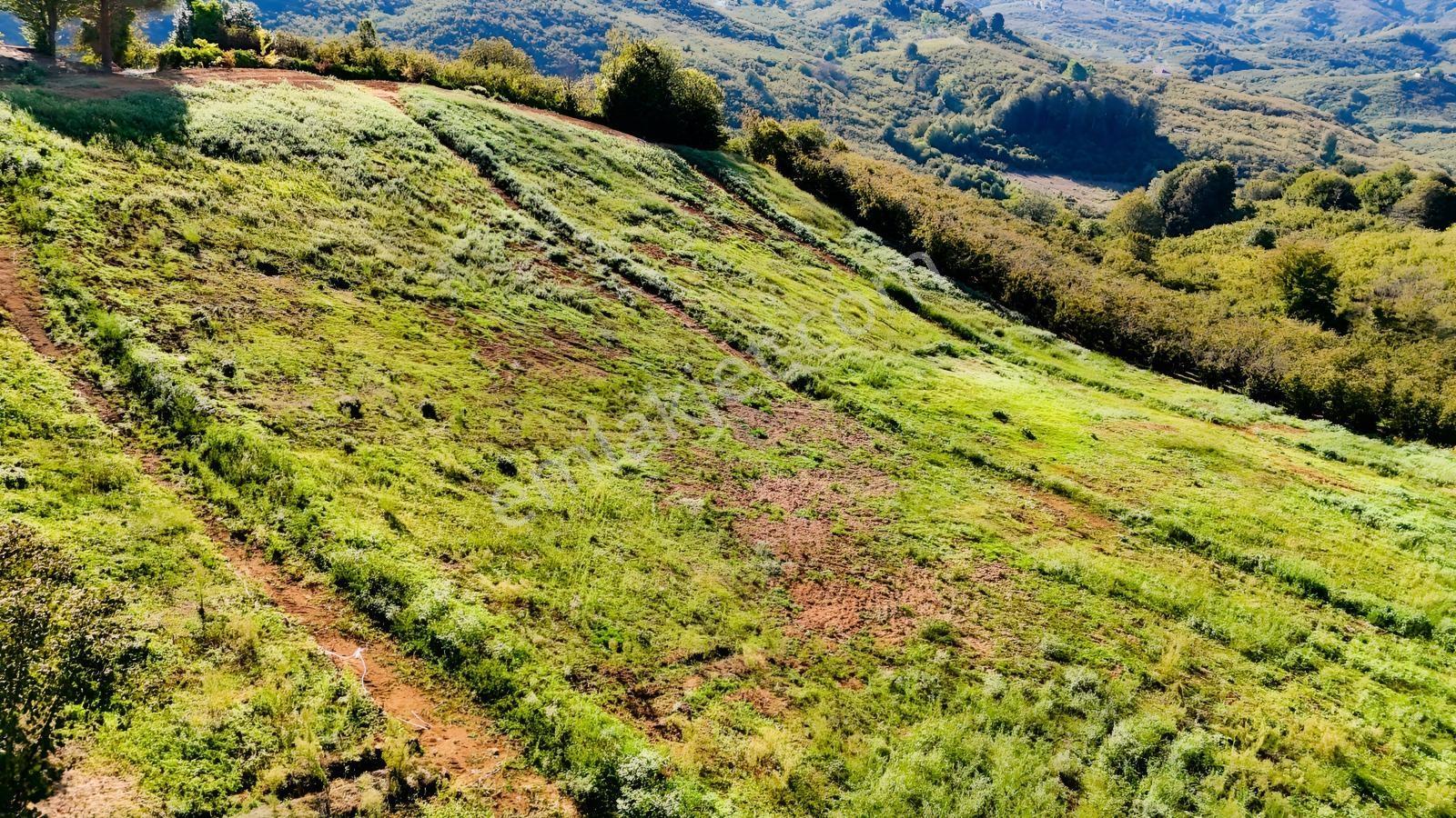 Balcıoğlundan Satılık Karapelit'te İmarlı Ruhsatlı 40 Adet Arsa — fotoğraf 7