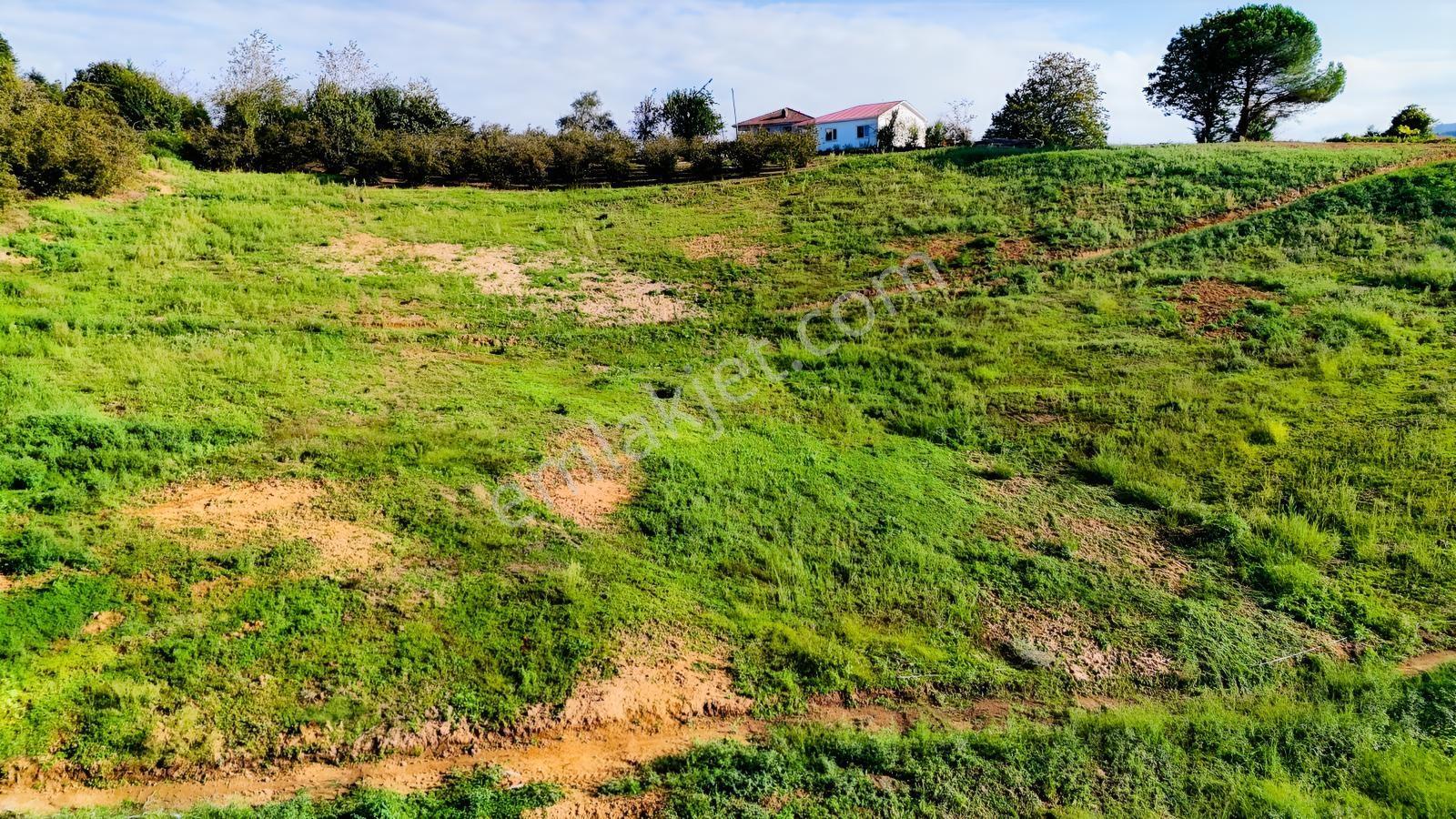Balcıoğlundan Satılık Karapelit'te İmarlı Ruhsatlı 40 Adet Arsa — fotoğraf 8