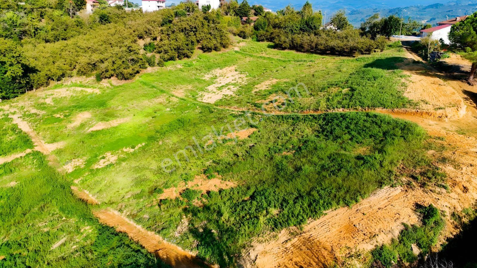 Balcıoğlundan Satılık Karapelit'te İmarlı Ruhsatlı 40 Adet Arsa — fotoğraf 10