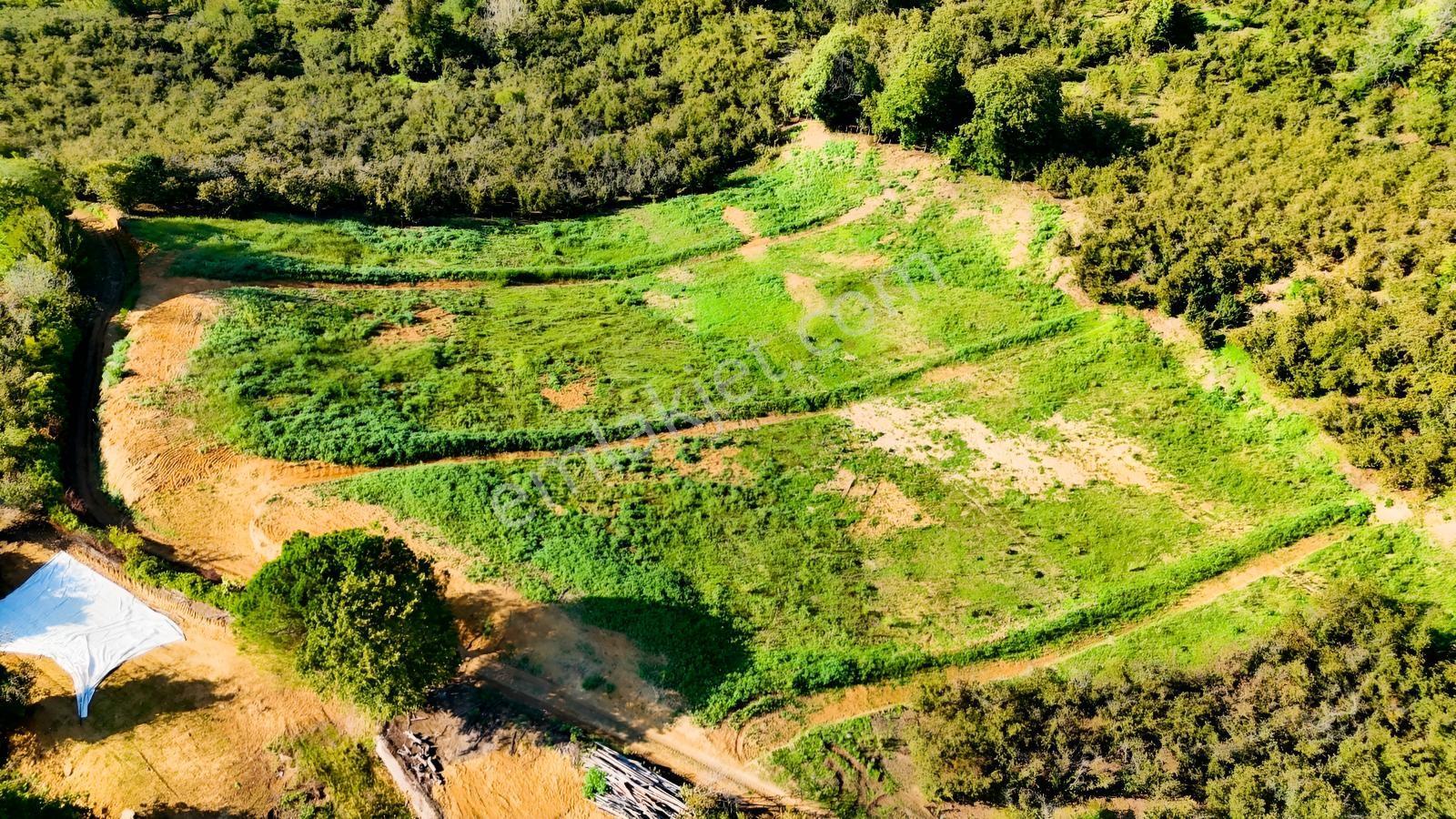 Balcıoğlundan Satılık Karapelit'te İmarlı Ruhsatlı 40 Adet Arsa — fotoğraf 14