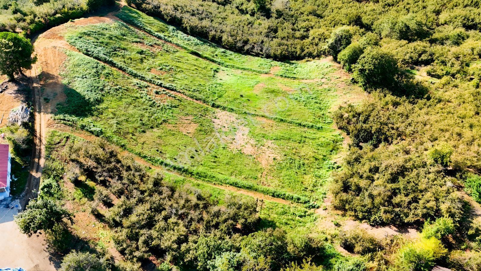 Balcıoğlundan Satılık Karapelit'te İmarlı Ruhsatlı 40 Adet Arsa — fotoğraf 15