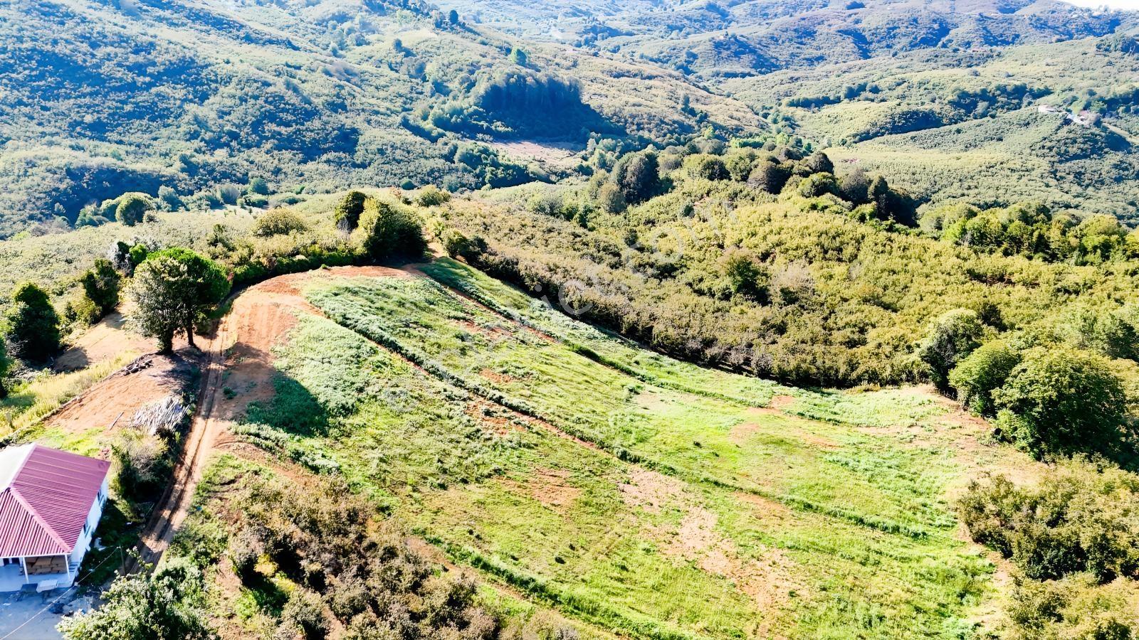 Balcıoğlundan Satılık Karapelit'te İmarlı Ruhsatlı 40 Adet Arsa — fotoğraf 16