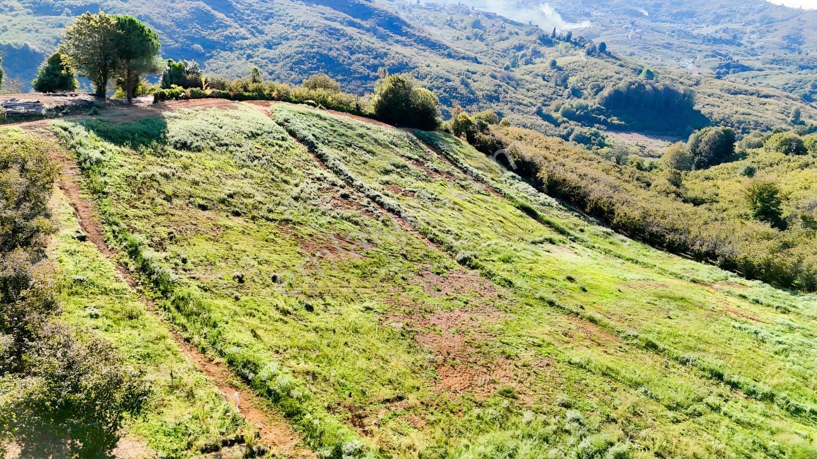 Balcıoğlundan Satılık Karapelit'te İmarlı Ruhsatlı 40 Adet Arsa — fotoğraf 18