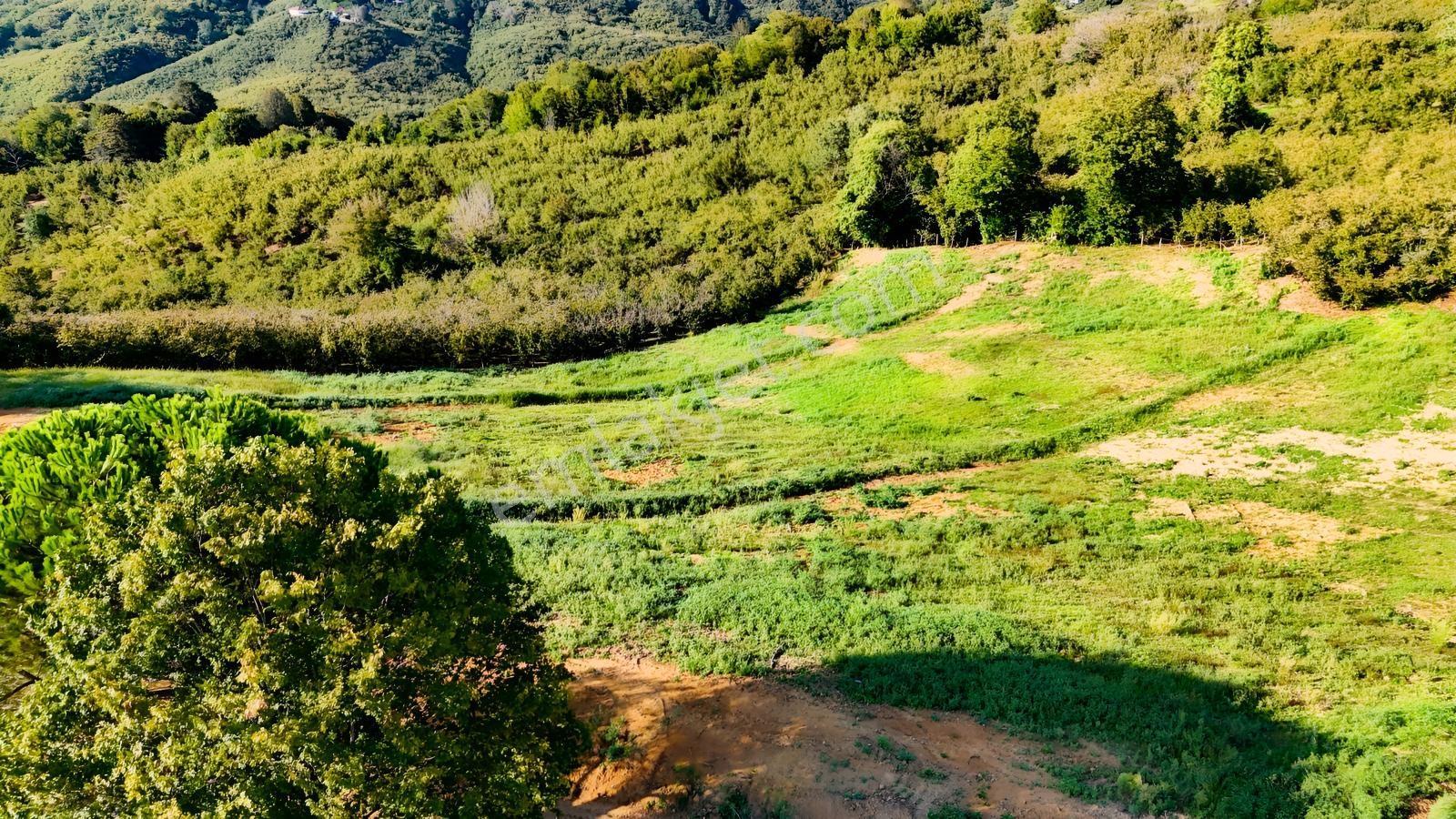 Balcıoğlundan Satılık Karapelit'te İmarlı Ruhsatlı 40 Adet Arsa — fotoğraf 21