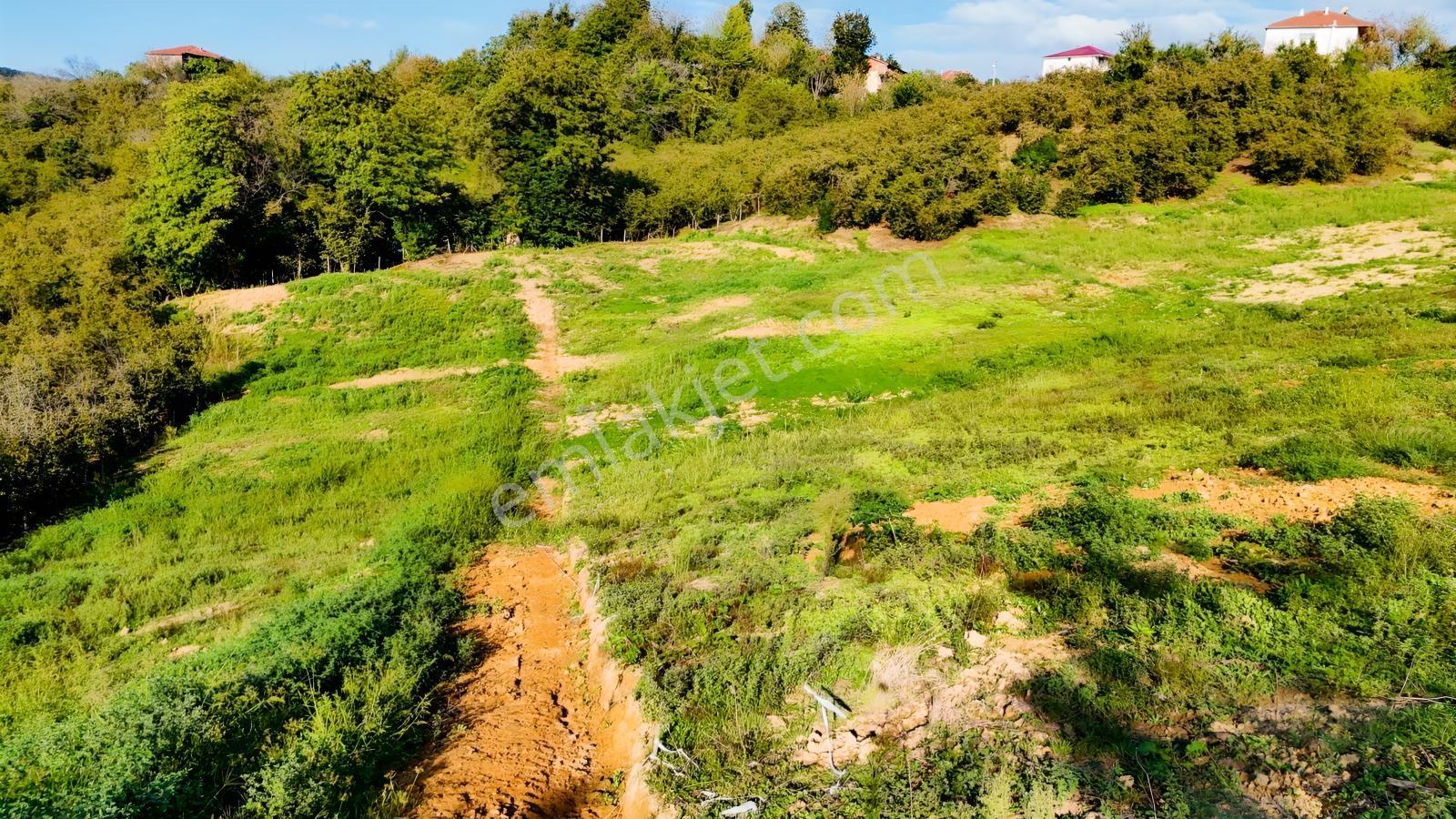 Balcıoğlundan Satılık Karapelit'te İmarlı Ruhsatlı 40 Adet Arsa — fotoğraf 28