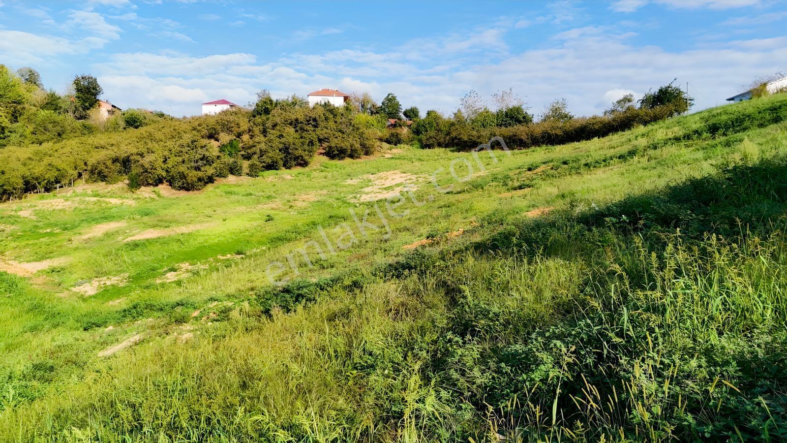 Balcıoğlundan Satılık Karapelit'te İmarlı Ruhsatlı 40 Adet Arsa — fotoğraf 29