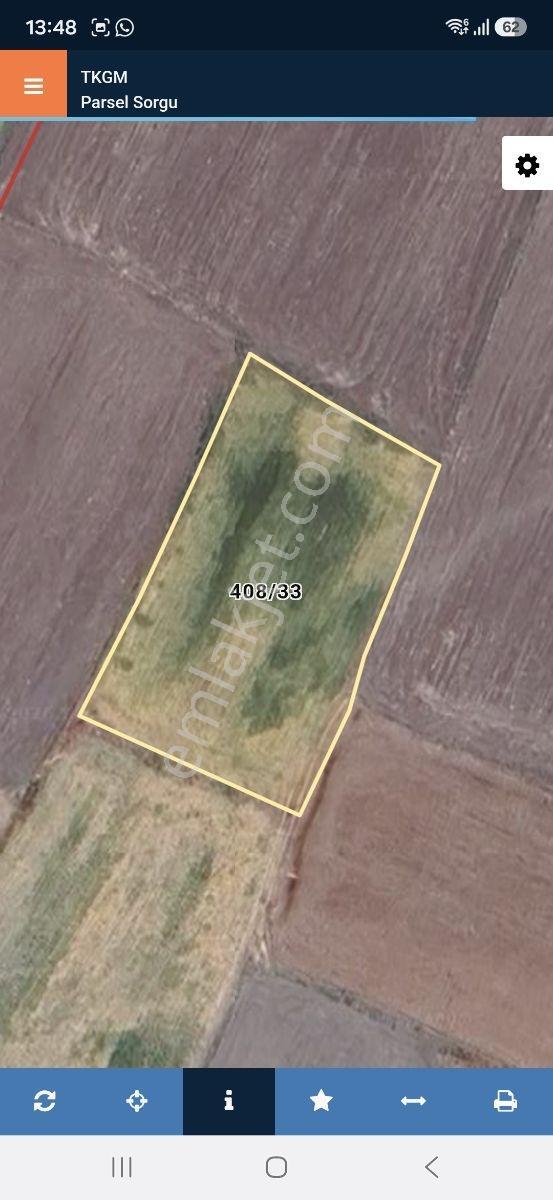 Çankırı Şabanözü Yenimahalle Satılık Tek Tapu Osb Yakın Tarla