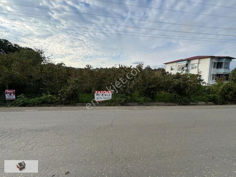 Efirli De İmara Yakın Doğalgaz Hattı Olan Arsamız Satılıktır
