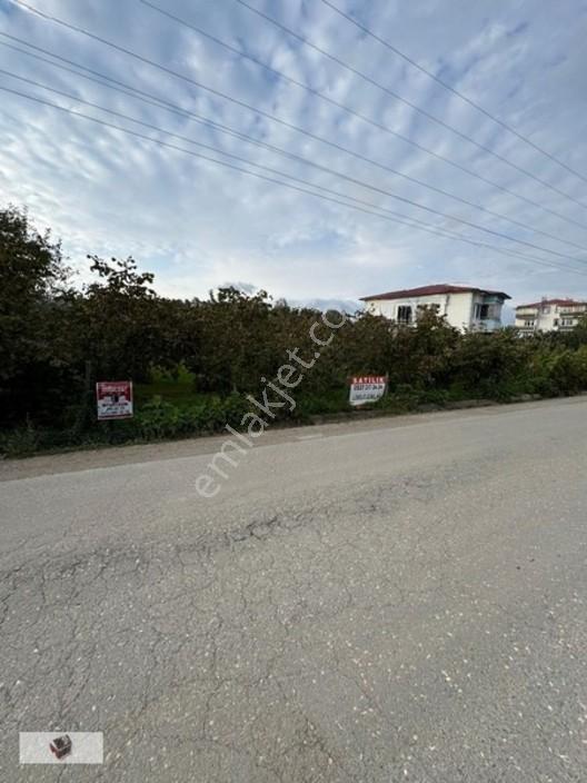 Efirli De İmara Yakın Doğalgaz Hattı Olan Arsamız Satılıktır — fotoğraf 2