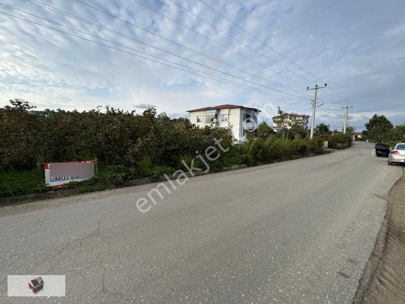 Efirli De İmara Yakın Doğalgaz Hattı Olan Arsamız Satılıktır — fotoğraf 3