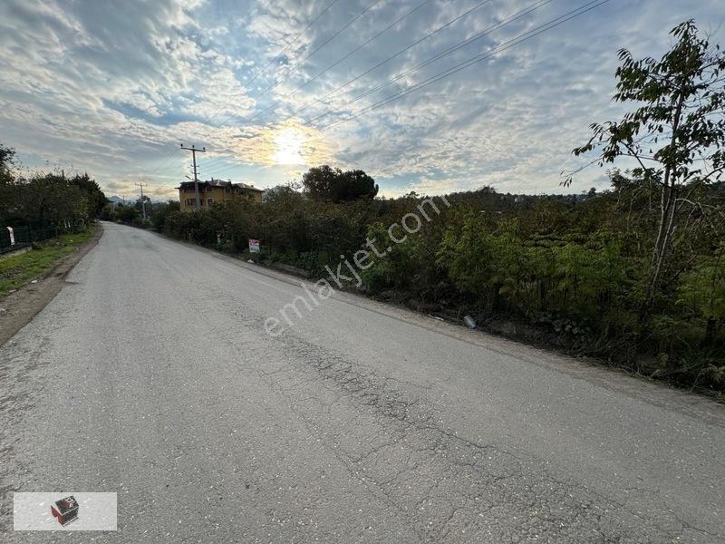 Efirli De İmara Yakın Doğalgaz Hattı Olan Arsamız Satılıktır — fotoğraf 9