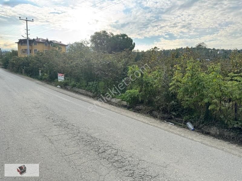 Efirli De İmara Yakın Doğalgaz Hattı Olan Arsamız Satılıktır — fotoğraf 11