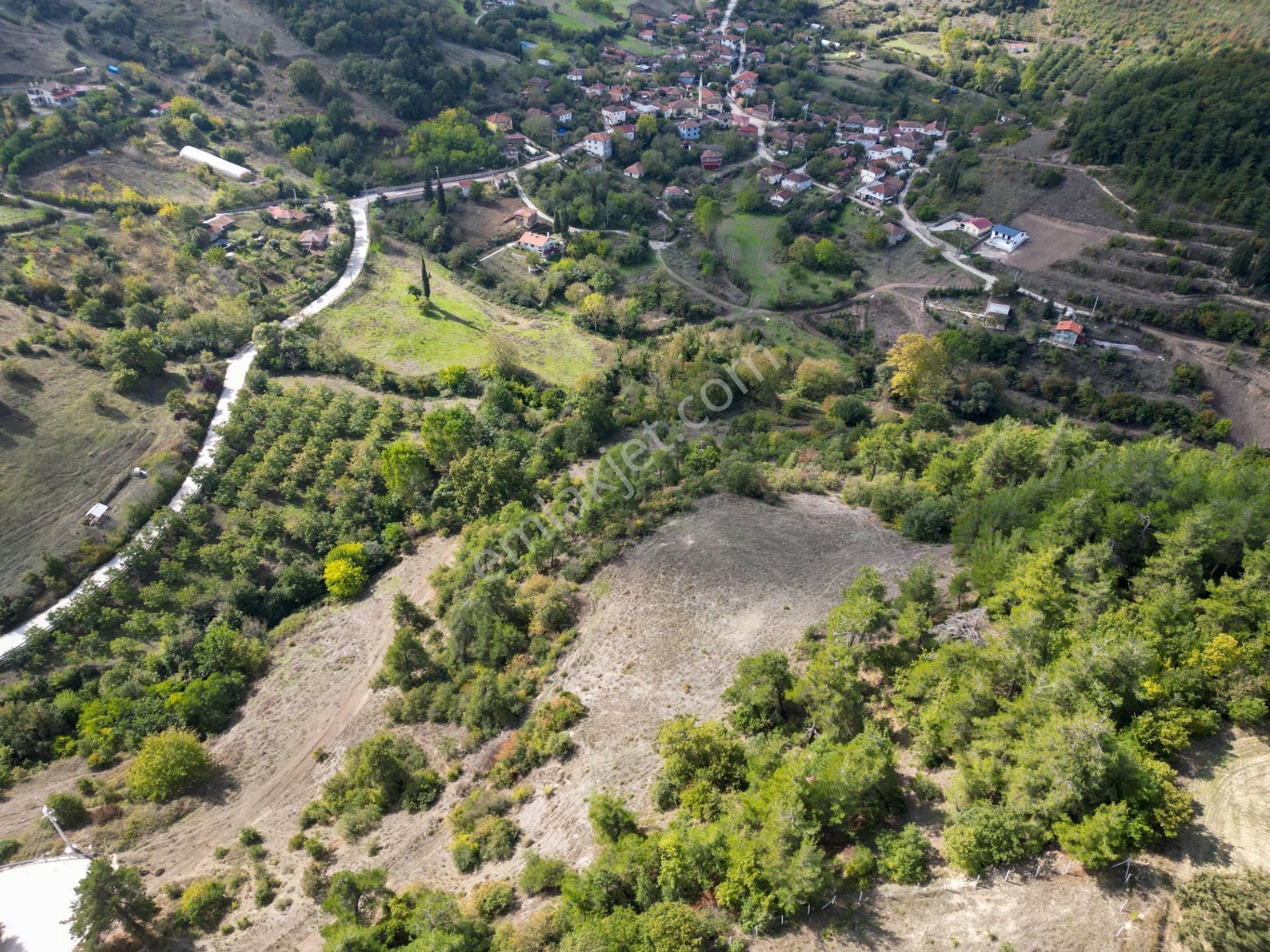 Uzmanlar'dan Karamürsel Çamdibi Satılık 2756 M2 %5 İmarlı Tarla — fotoğraf 6