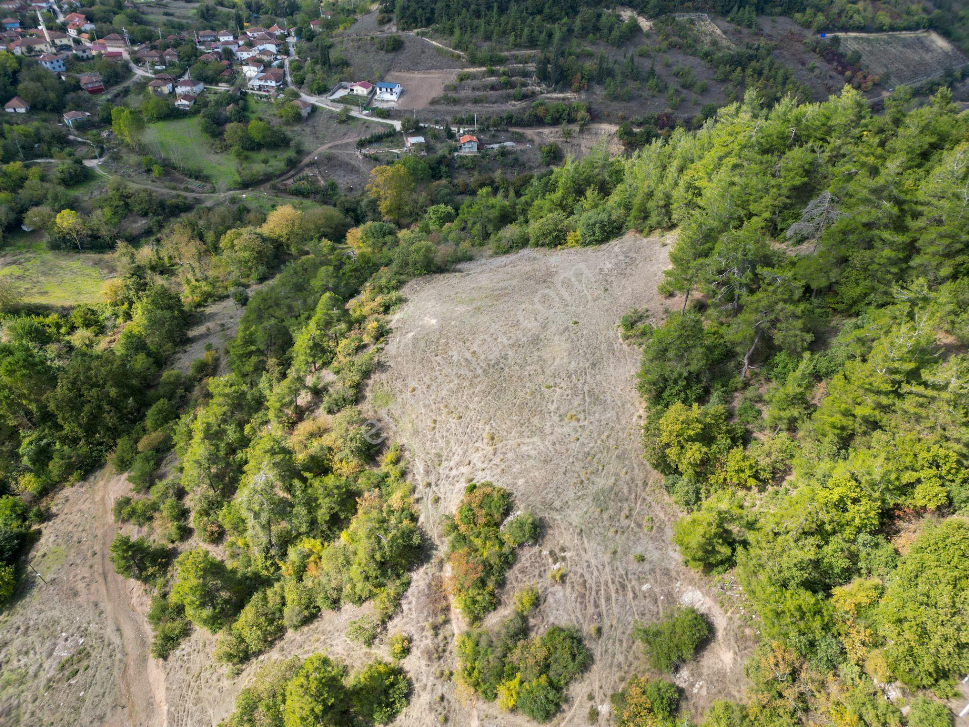 Uzmanlar'dan Karamürsel Çamdibi Satılık 2756 M2 %5 İmarlı Tarla — fotoğraf 7