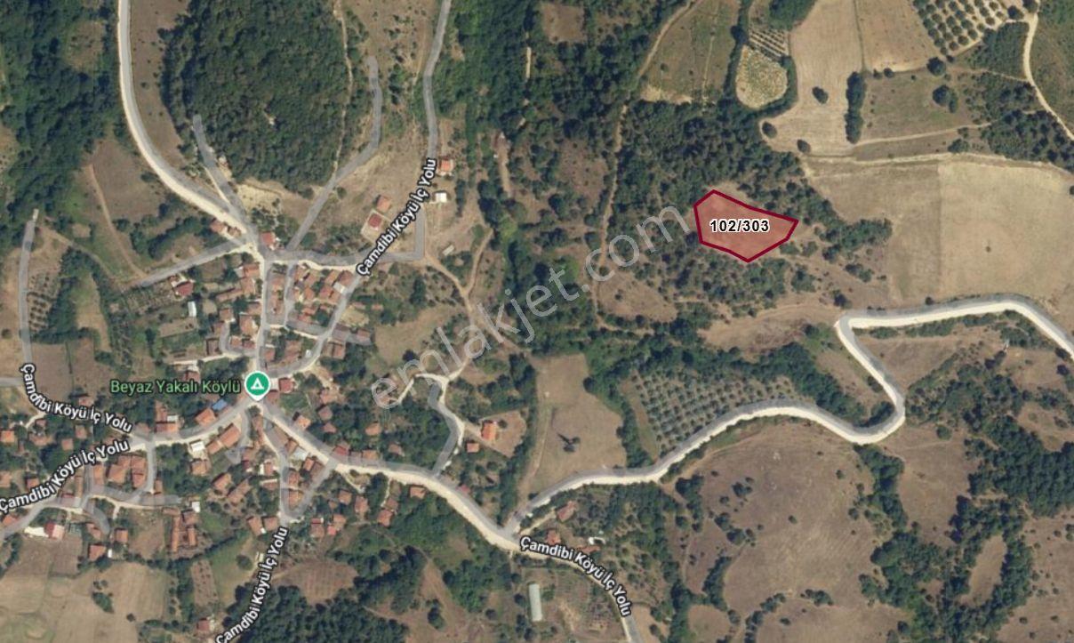 Uzmanlar'dan Karamürsel Çamdibi Satılık 2756 M2 %5 İmarlı Tarla — fotoğraf 15
