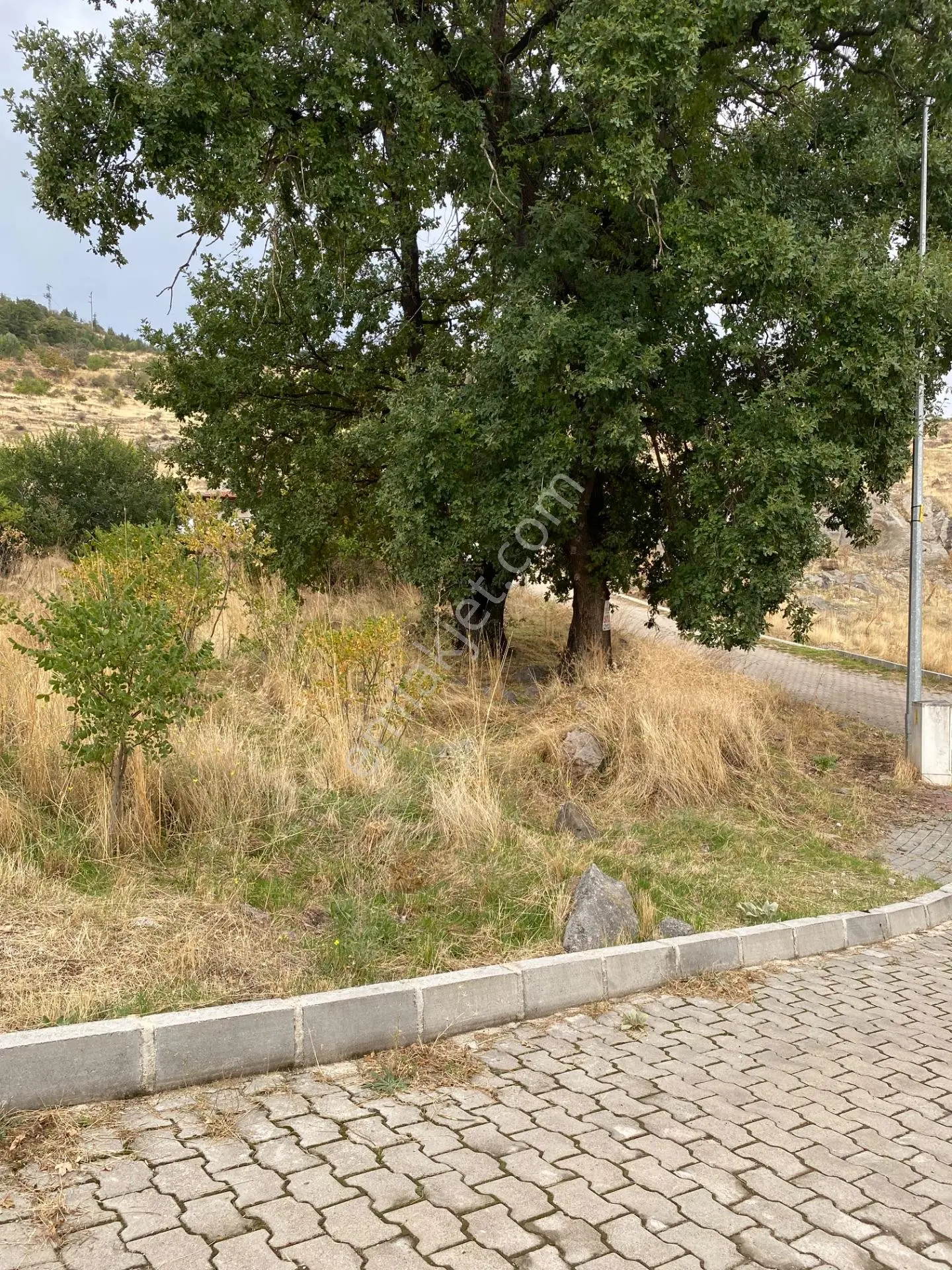 Uydukent Emlaktan Satılık 544m2 Arsa Hamidiye Mah. — fotoğraf 3