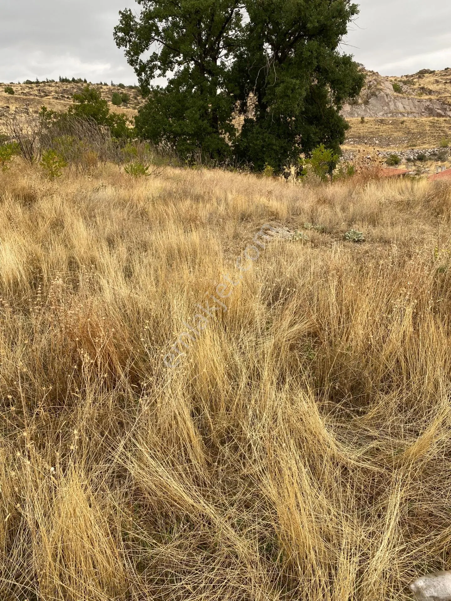 Uydukent Emlaktan Satılık 544m2 Arsa Hamidiye Mah. — fotoğraf 9