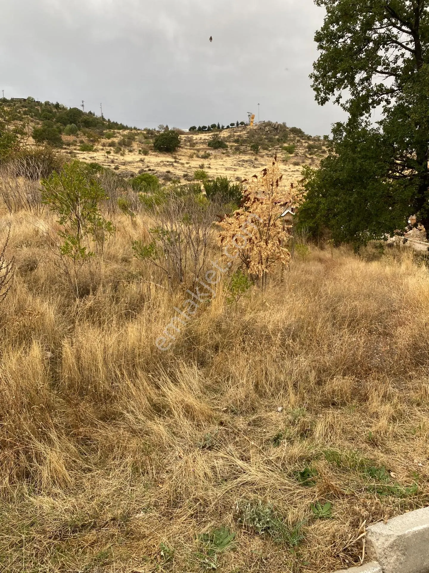 Uydukent Emlaktan Satılık 544m2 Arsa Hamidiye Mah. — fotoğraf 11