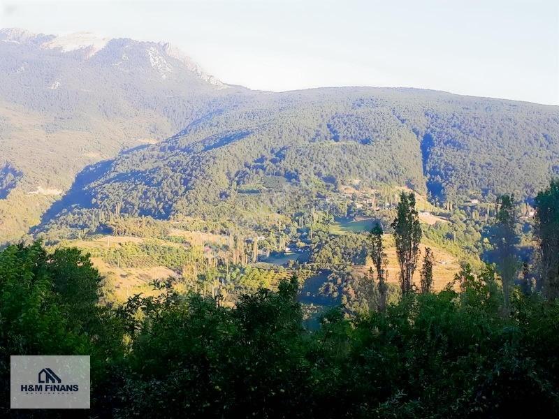 Sakarya Geyve Güney Mah.Köy İçinde 1403 M2 Satılık Arsa