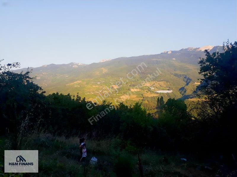 Sakarya Geyve Güney Mah.köy İçinde 1403 M2 Satılık Arsa — fotoğraf 13