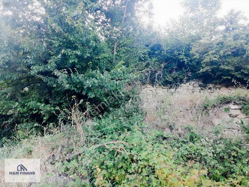 Sakarya Geyve Güney Mah.köy İçinde 1403 M2 Satılık Arsa — fotoğraf 14