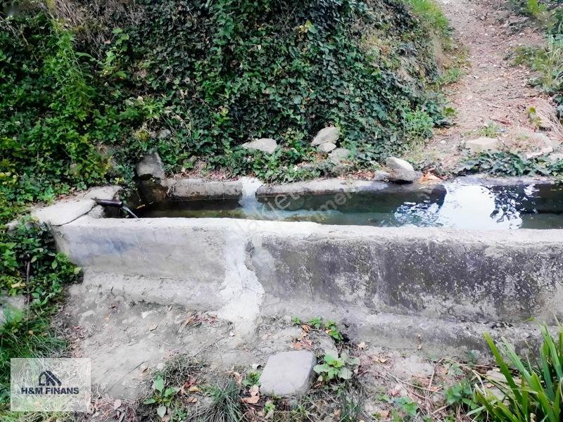Sakarya Geyve Güney Mah.köy İçinde 1403 M2 Satılık Arsa — fotoğraf 17