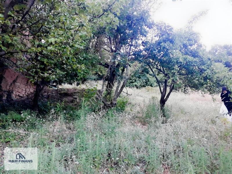 Sakarya Geyve Güney Mah.köy İçinde 1403 M2 Satılık Arsa — fotoğraf 18