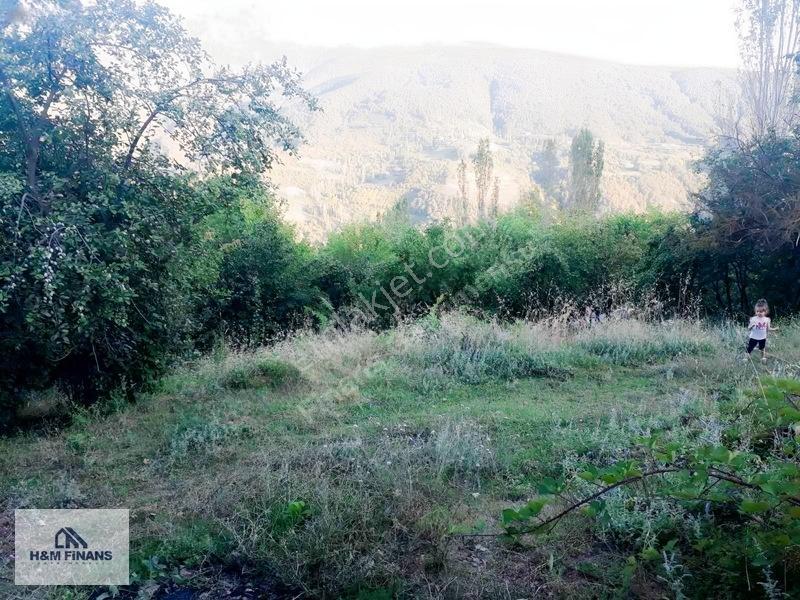 Sakarya Geyve Güney Mah.köy İçinde 1403 M2 Satılık Arsa — fotoğraf 21